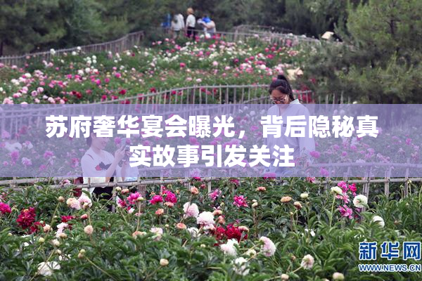 苏府奢华宴会曝光，背后隐秘真实故事引发关注