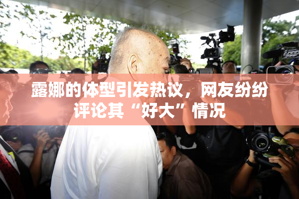 露娜的体型引发热议，网友纷纷评论其“好大”情况