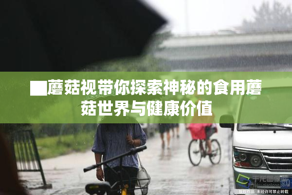 ▇蘑菇视带你探索神秘的食用蘑菇世界与健康价值