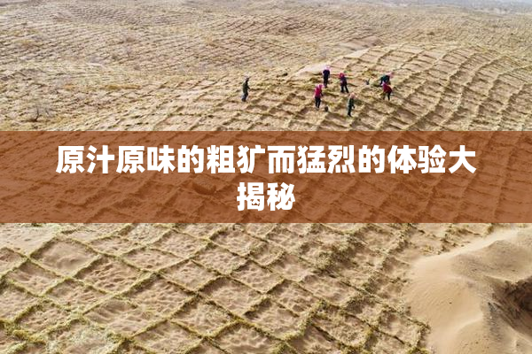 原汁原味的粗犷而猛烈的体验大揭秘