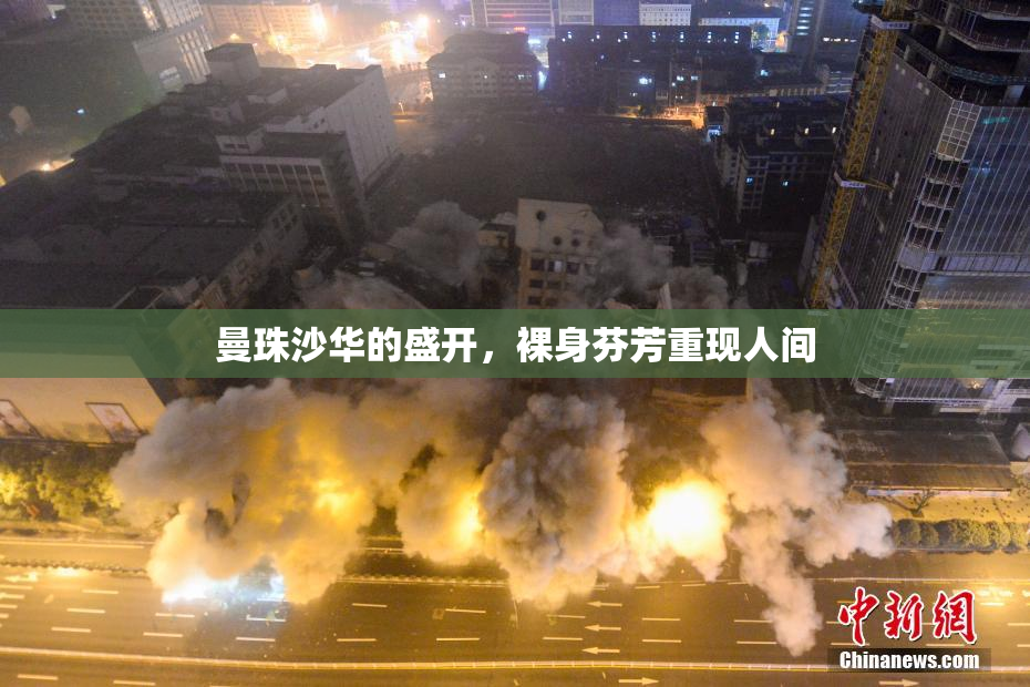 曼珠沙华的盛开，裸身芬芳重现人间