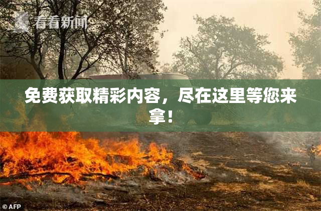 免费获取精彩内容，尽在这里等您来拿！