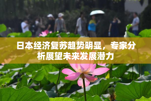日本经济复苏趋势明显，专家分析展望未来发展潜力