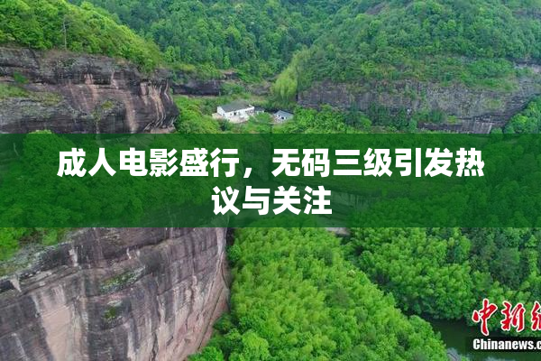 成人电影盛行，无码三级引发热议与关注