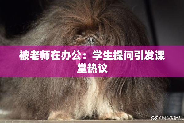 被老师在办公：学生提问引发课堂热议
