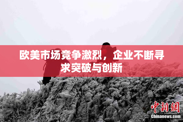 欧美市场竞争激烈，企业不断寻求突破与创新
