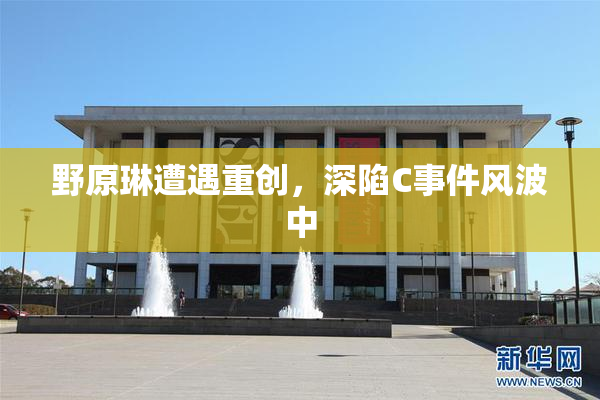 野原琳遭遇重创，深陷C事件风波中