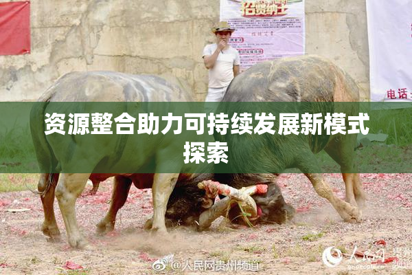 资源整合助力可持续发展新模式探索