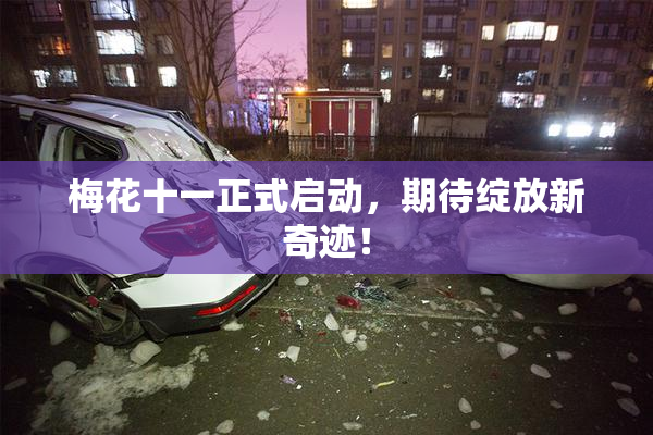 梅花十一正式启动，期待绽放新奇迹！