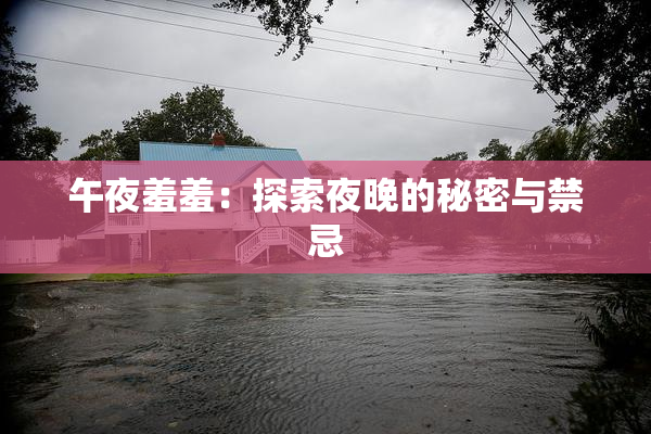 午夜羞羞：探索夜晚的秘密与禁忌
