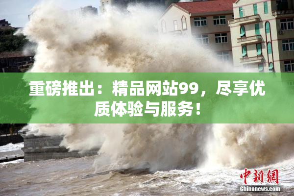 重磅推出：精品网站99，尽享优质体验与服务！