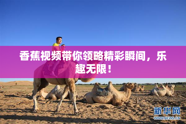 香蕉视频带你领略精彩瞬间，乐趣无限！