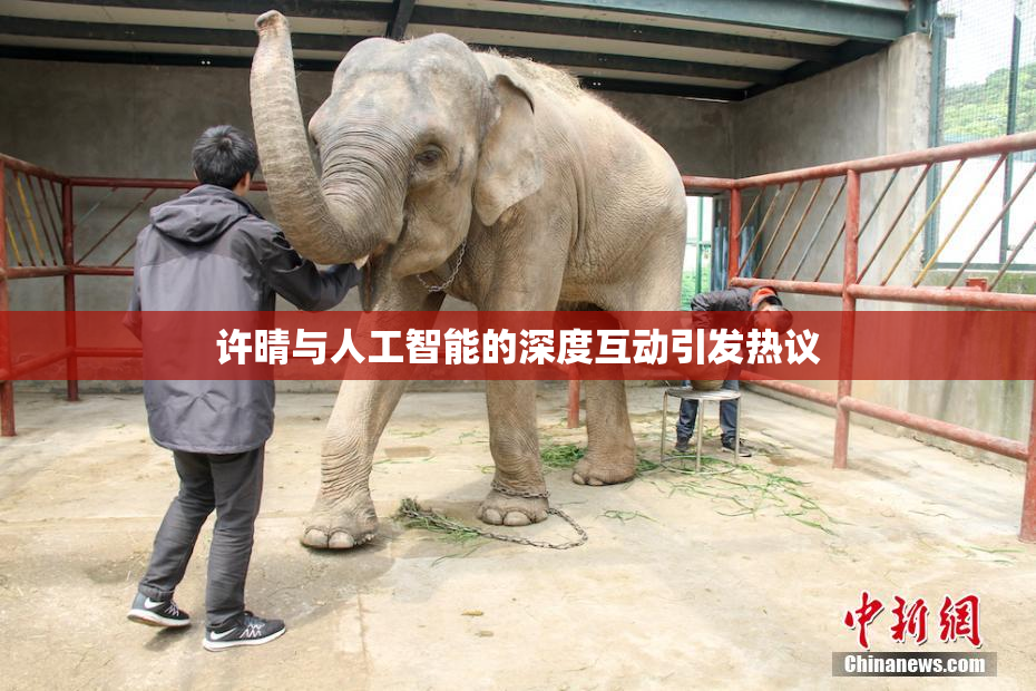 许晴与人工智能的深度互动引发热议