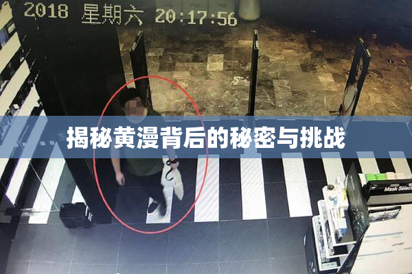 揭秘黄漫背后的秘密与挑战