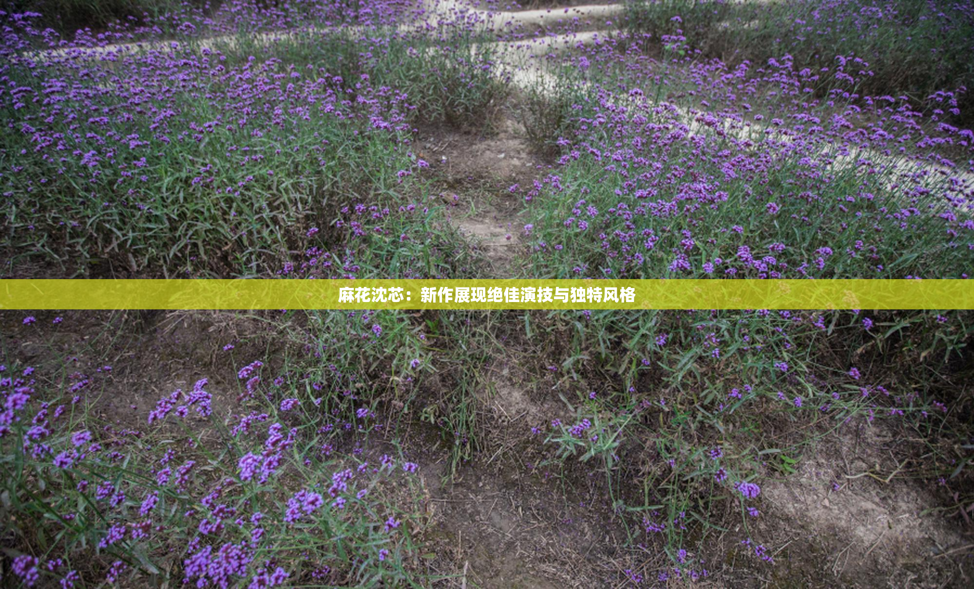 麻花沈芯：新作展现绝佳演技与独特风格