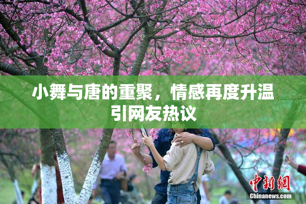 小舞与唐的重聚，情感再度升温引网友热议