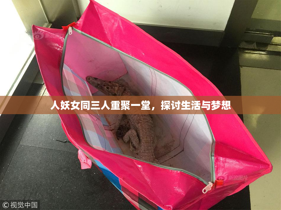 人妖女同三人重聚一堂，探讨生活与梦想