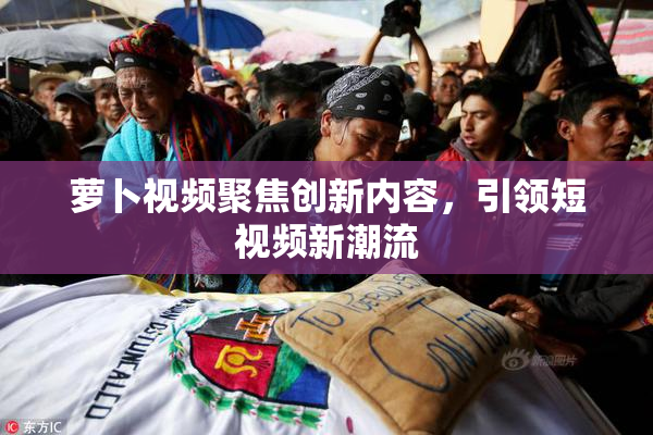 萝卜视频聚焦创新内容，引领短视频新潮流