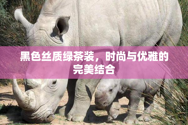 黑色丝质绿茶装，时尚与优雅的完美结合