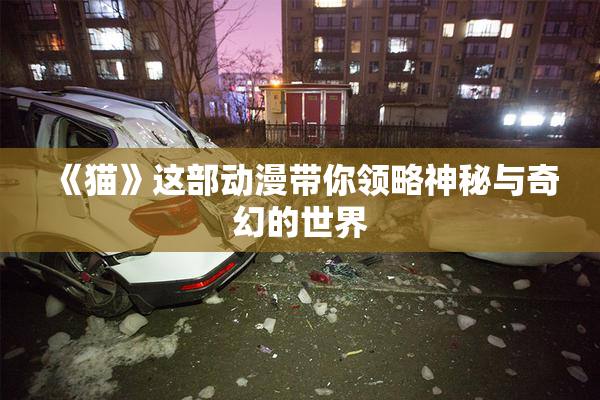 《猫》这部动漫带你领略神秘与奇幻的世界