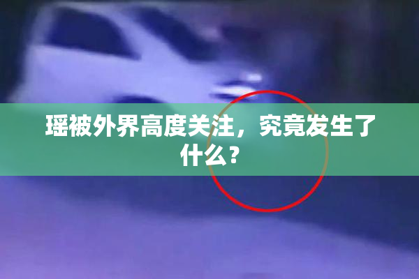 瑶被外界高度关注，究竟发生了什么？