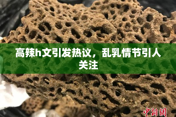 高辣h文引发热议，乱乳情节引人关注