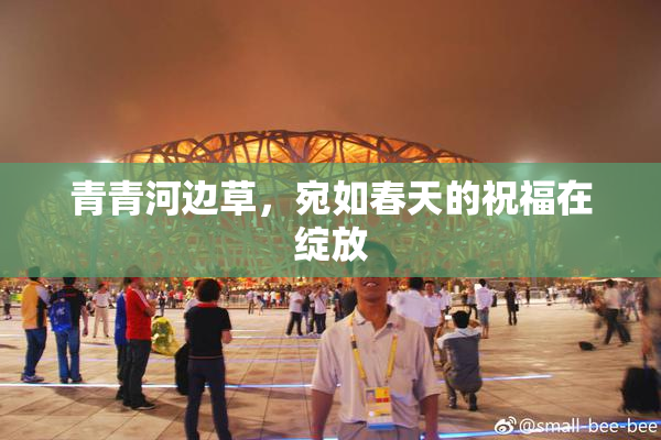 青青河边草，宛如春天的祝福在绽放
