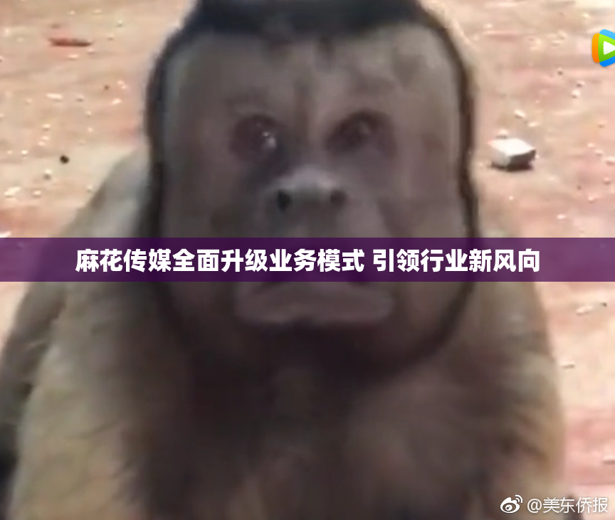麻花传媒全面升级业务模式 引领行业新风向