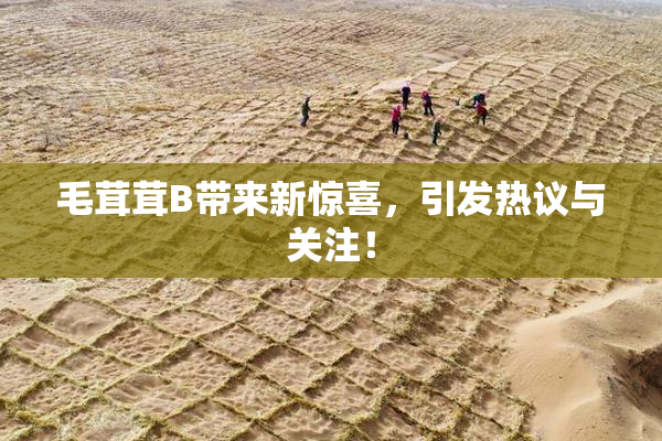 毛茸茸B带来新惊喜，引发热议与关注！