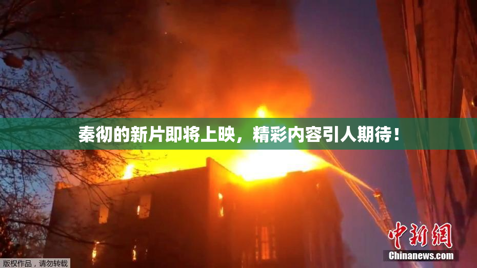 秦彻的新片即将上映，精彩内容引人期待！