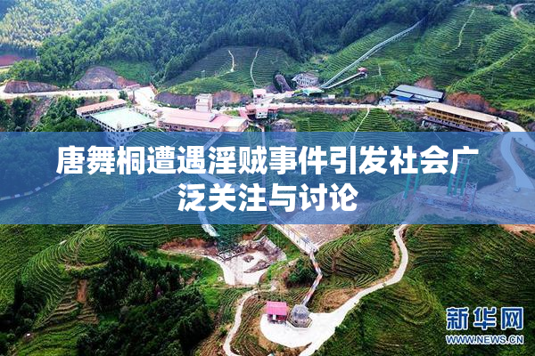 唐舞桐遭遇淫贼事件引发社会广泛关注与讨论