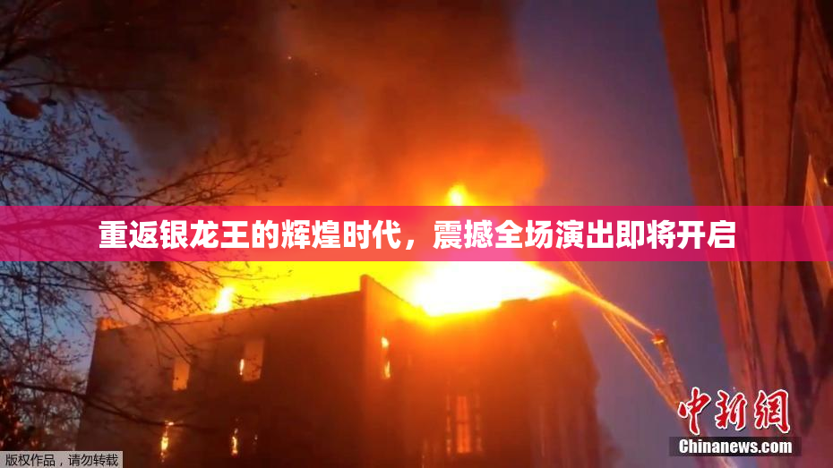 重返银龙王的辉煌时代，震撼全场演出即将开启
