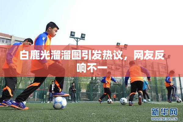 白鹿光溜溜图引发热议，网友反响不一