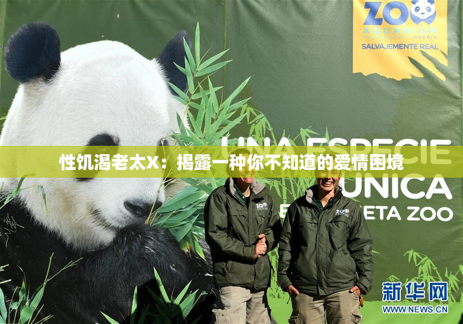 性饥渴老太X：揭露一种你不知道的爱情困境