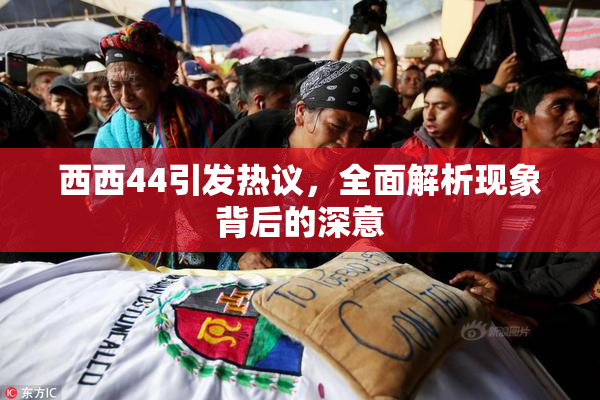 西西44引发热议，全面解析现象背后的深意