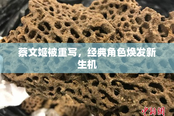 蔡文姬被重写，经典角色焕发新生机