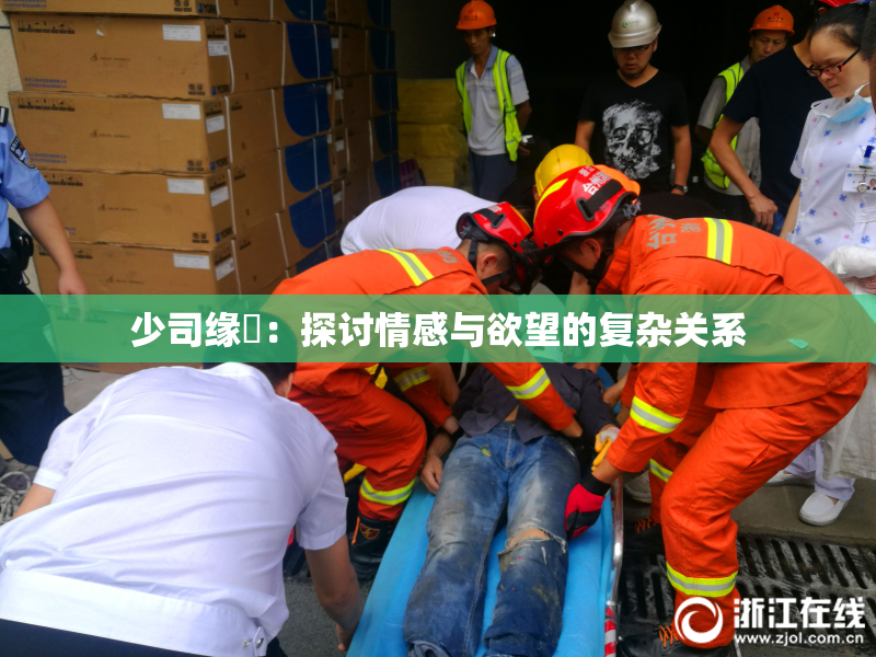 少司缘婬：探讨情感与欲望的复杂关系