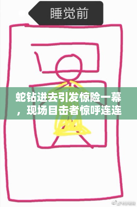 蛇钻进去引发惊险一幕，现场目击者惊呼连连