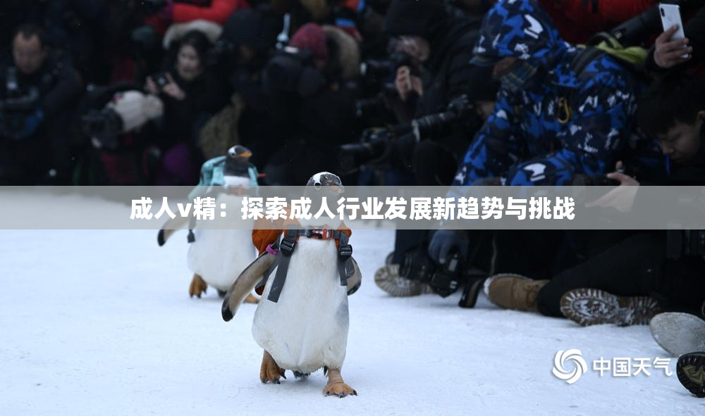 成人v精：探索成人行业发展新趋势与挑战
