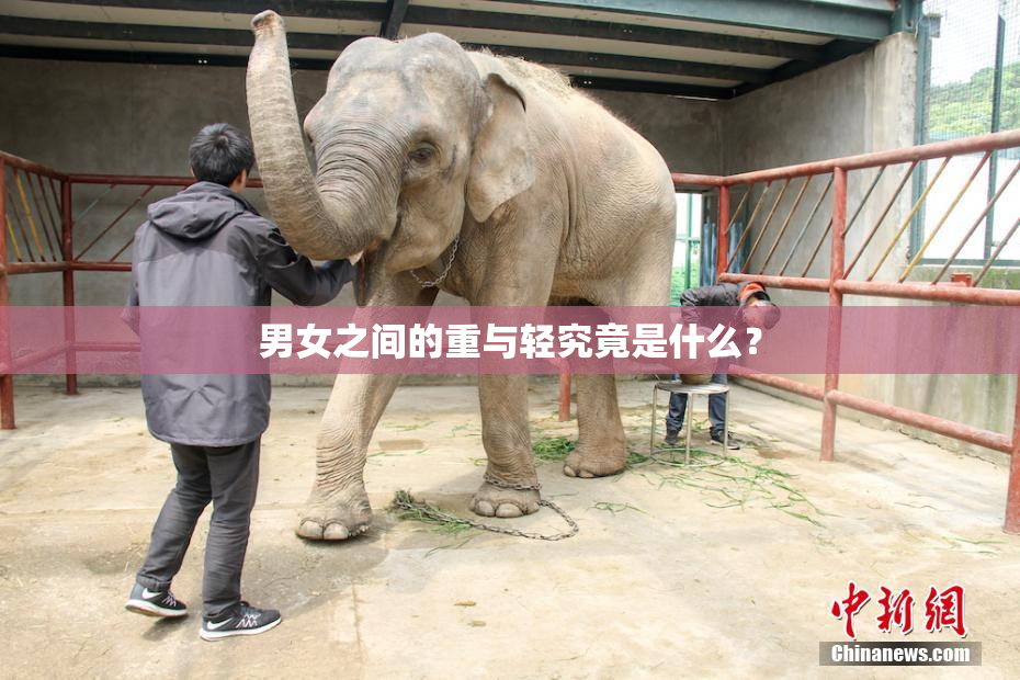 男女之间的重与轻究竟是什么？
