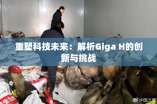 重塑科技未来：解析Giga H的创新与挑战