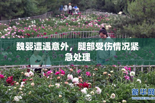 魏婴遭遇意外，腿部受伤情况紧急处理