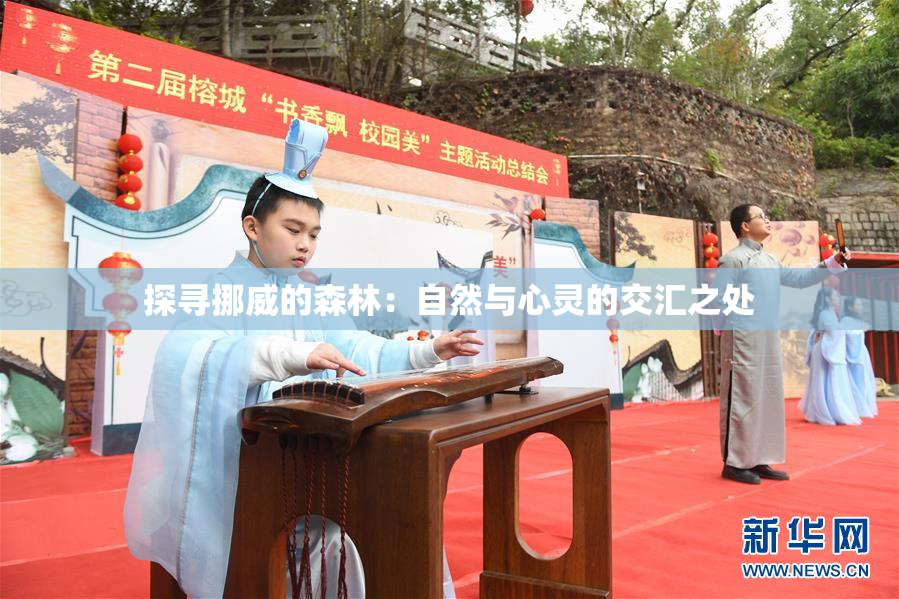 探寻挪威的森林：自然与心灵的交汇之处