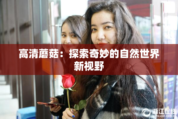 高清蘑菇：探索奇妙的自然世界新视野