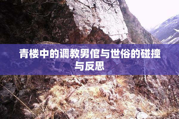 青楼中的调教男倌与世俗的碰撞与反思
