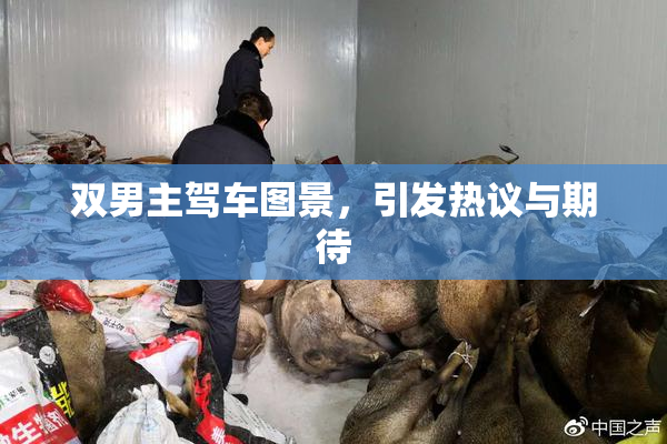 双男主驾车图景，引发热议与期待