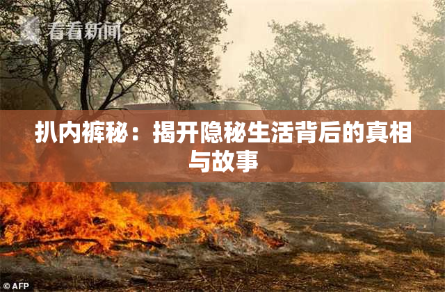 扒内裤秘：揭开隐秘生活背后的真相与故事