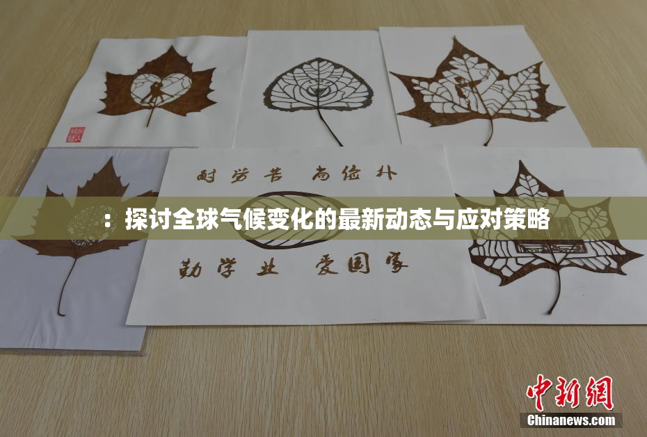 ：探讨全球气候变化的最新动态与应对策略