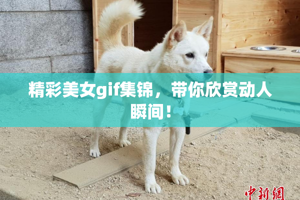 精彩美女gif集锦，带你欣赏动人瞬间！