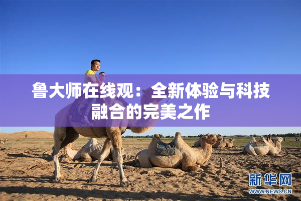 鲁大师在线观：全新体验与科技融合的完美之作
